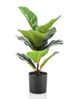 kunst ficus lyrata 55cm, Huis en Inrichting, Ophalen of Verzenden, Ficus, Halfschaduw, Minder dan 100 cm