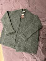 Nieuw BELLAMY grijs dames vest maat XL, Ophalen of Verzenden, Nieuw, Maat 46/48 (XL) of groter, Grijs