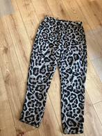 Broek Dry Jake maat M (gevoerd) ), Kleding | Dames, Maat 38/40 (M), Carnaval, Dry Jake, Ophalen of Verzenden