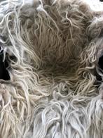 Drents heideschaap vachten wol, Dieren en Toebehoren, Schapen, Geiten en Varkens, Meerdere dieren, Schaap