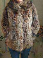 Prachtige echte bontjas maat 42/44, Ophalen of Verzenden, Zo goed als nieuw, Maat 42/44 (L), Bruin