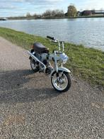 Honda DAX ST50G - Klassieke brommer in topstaat, Ophalen, Gebruikt, Maximaal 45 km/u, Overige modellen