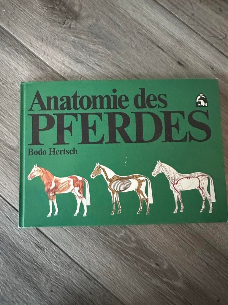 Anatomie des Pferdes - Bodo Hetsch, Verzenden, Zo goed als nieuw, Overige onderwerpen