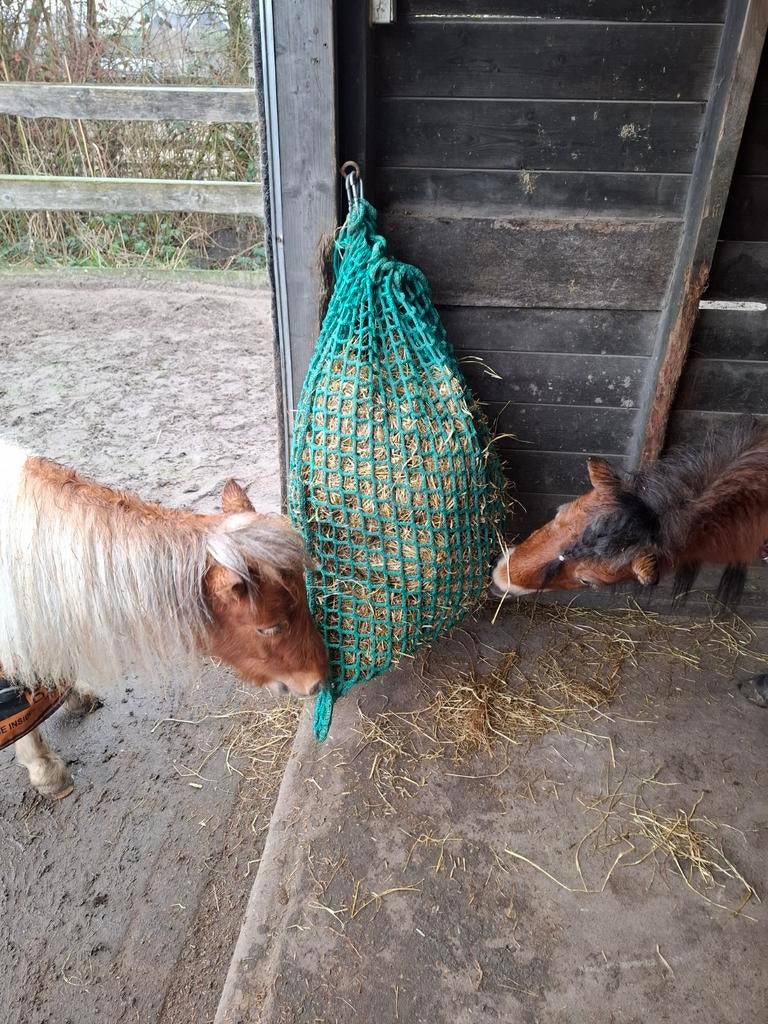 plekje vrij voor mini paddock paradise, Dieren en Toebehoren, Stalling en Weidegang