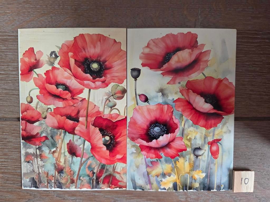 KLAPROOS BLOEM 10, Ophalen, Overige thema's