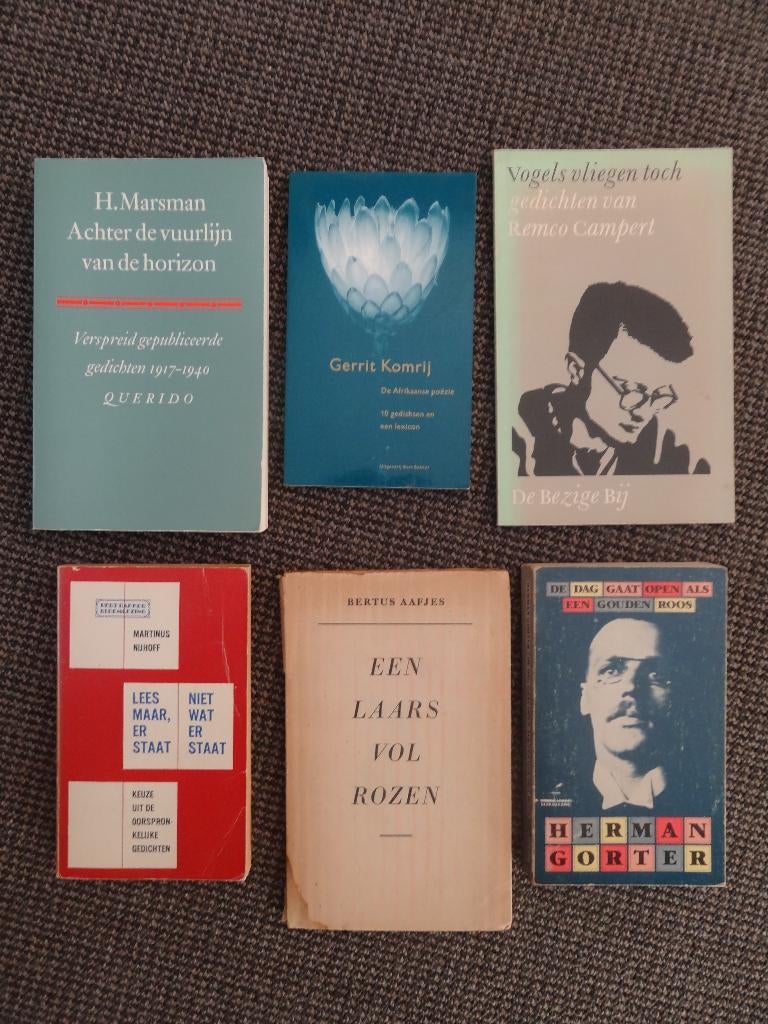 Poëzie pakket van 6 boeken; gedichten Nijhoff en H. Marsman, Verzenden, Gelezen