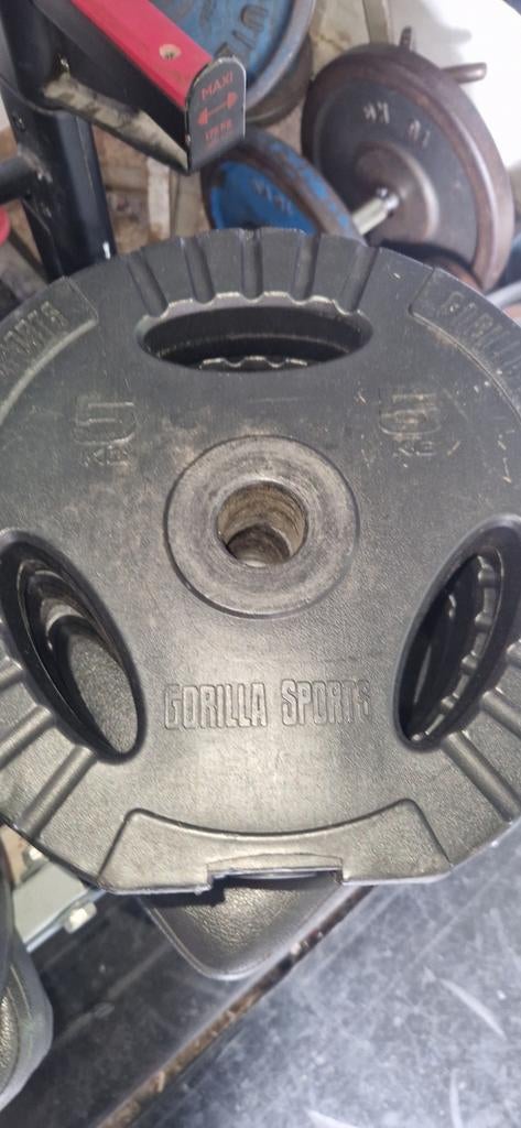 Gorilla sports halter schijven 57,50kg fitness, Sport en Fitness, Fitnessmaterialen, Ophalen, Gebruikt