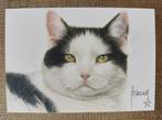 Ongelopen katten ansichtkaart van illustrator Francien, Verzamelen, Ophalen of Verzenden, 1980 tot heden, Hond of Kat