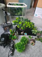 Nano Tank and Decorations, Dieren en Toebehoren, Vissen | Aquaria en Toebehoren, Ophalen