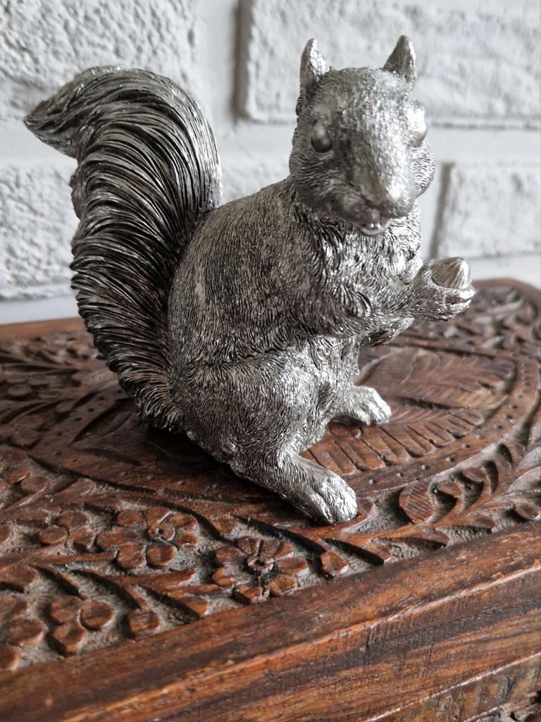 Eekhoorn, Ophalen of Verzenden, Zo goed als nieuw, Dier