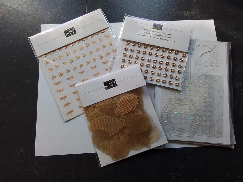 Stampin Up diverse soorten embellishments, Ophalen of Verzenden, Nieuw, Clearstamp