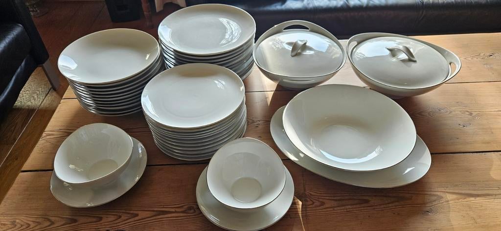 Eschenbach Bavaria Eetservies - Wit met Zilveren Rand, Ophalen, Zo goed als nieuw, Effen, Porselein