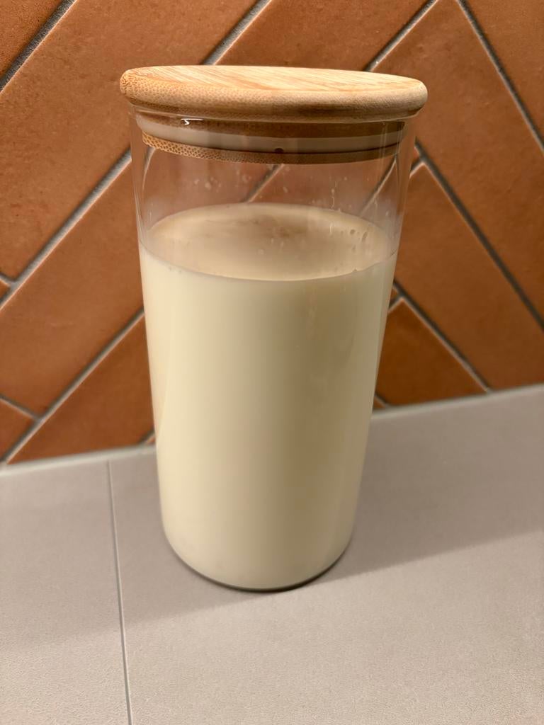 Melkkefir korrels, Diversen, Levensmiddelen, Ophalen