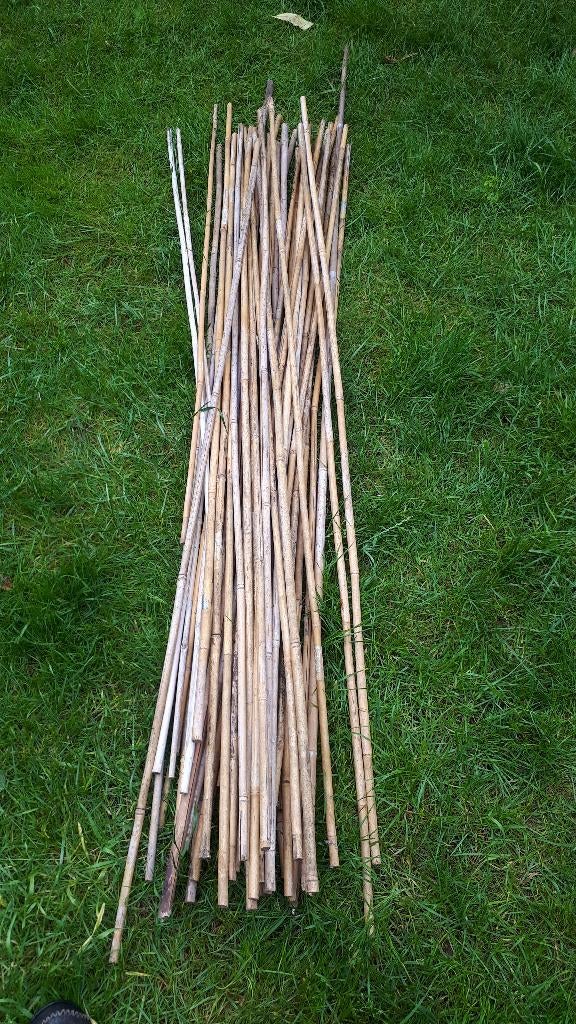 bamboestokken, Ophalen, Gebruikt, Kweeklamp