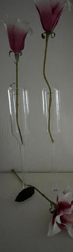 Nieuwe vazen glas op voet Serax Maison d’être doorzichtig, Overige kleuren, Nieuw, Ophalen of Verzenden, Glas