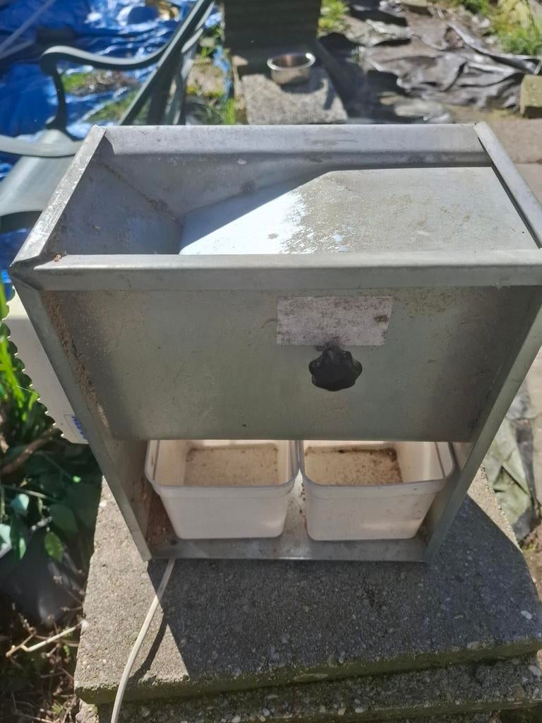 Tekoop kafmolen, Mannelijk, Parkiet