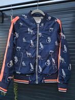 ZGN Cars jas maat 164 Lente / Zomer jas, Meisje, Ophalen of Verzenden, Zo goed als nieuw, Cars Jeans