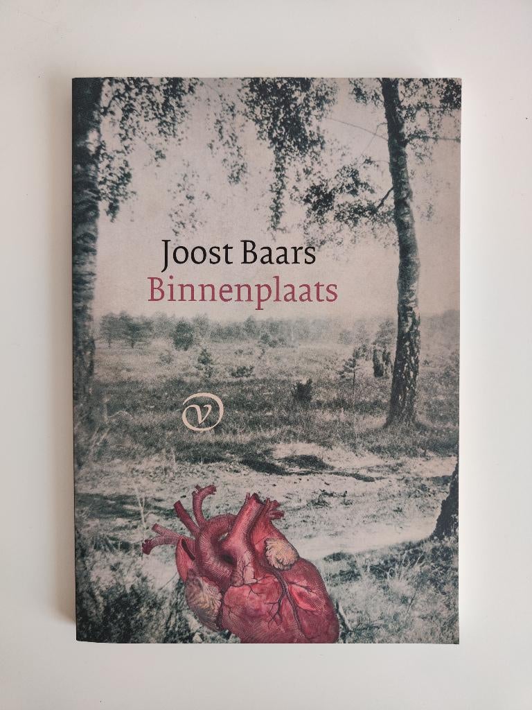 Binnenplaats - Joost Baars, Joost Baars, Ophalen of Verzenden, Zo goed als nieuw, Eén auteur