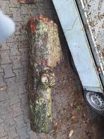 Kersenhout, Ophalen, Rond, Kersenhout, 50 tot 100 cm