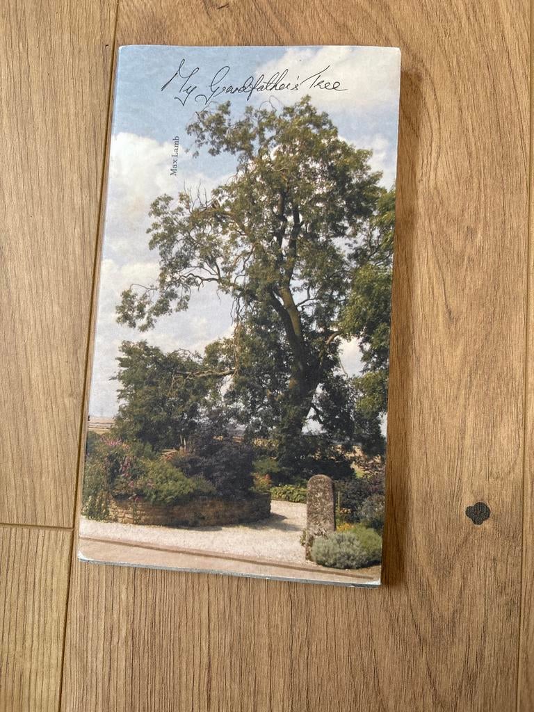 My Grandfather's Tree - Mari Lamb, Ophalen of Verzenden, Gelezen