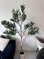 Kunst olijf boom 180 cm, Ophalen of Verzenden, Zo goed als nieuw