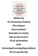 Te koop diverse Planten/Decorstie/stukjes/op bestelling, Ophalen, Overige soorten