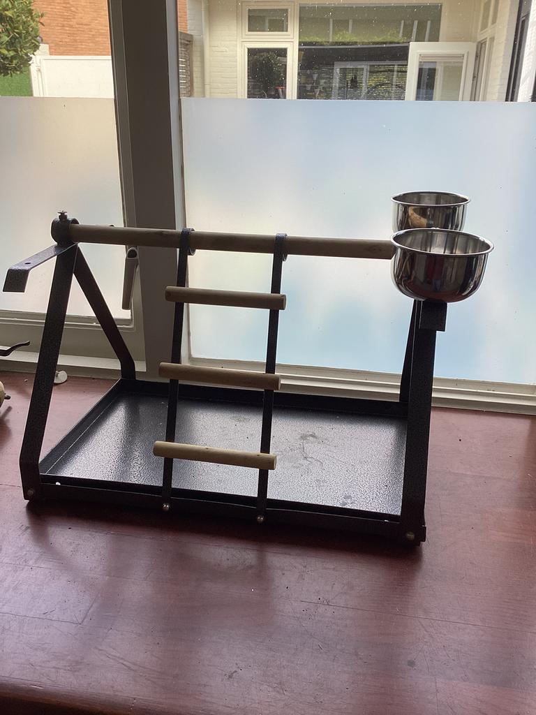 Papegaai, Dieren en Toebehoren, Mannelijk, Papegaai