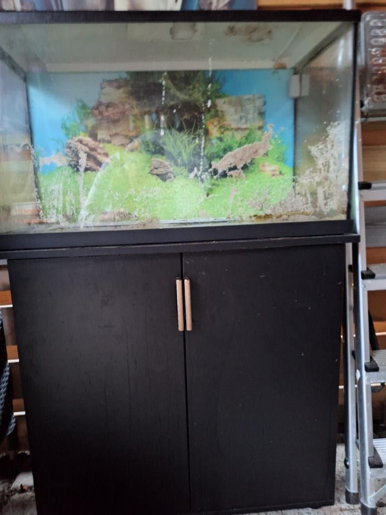Aquarium gratis ophalen, Dieren en Toebehoren, Vissen | Aquaria en Toebehoren, Ophalen, Leeg aquarium
