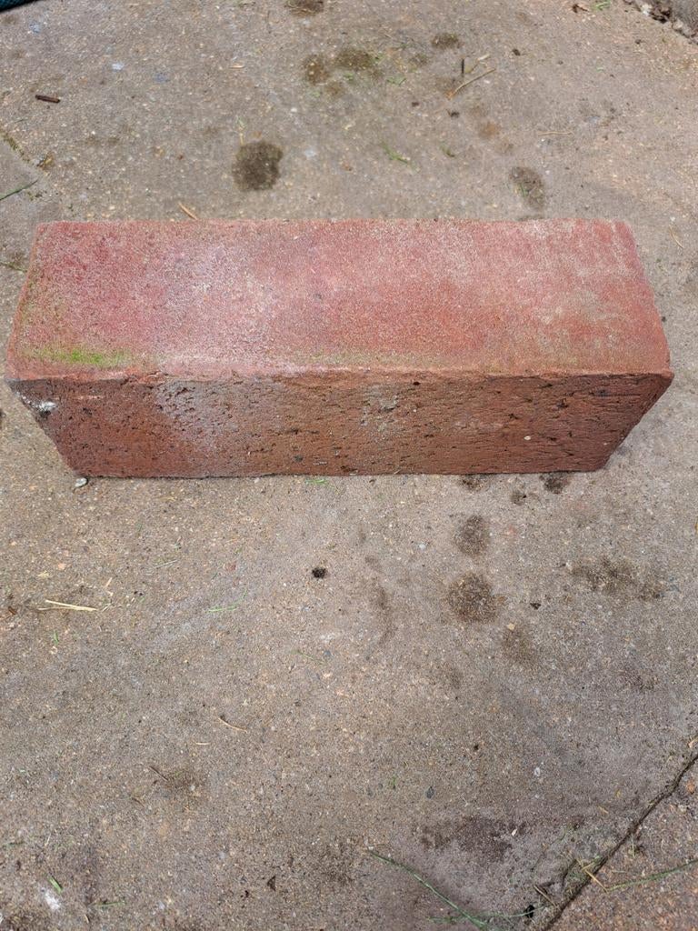 Klinkers, lingeformaat ongeveer 75 stuks, Ophalen, Nieuw, Beton, Klinkers