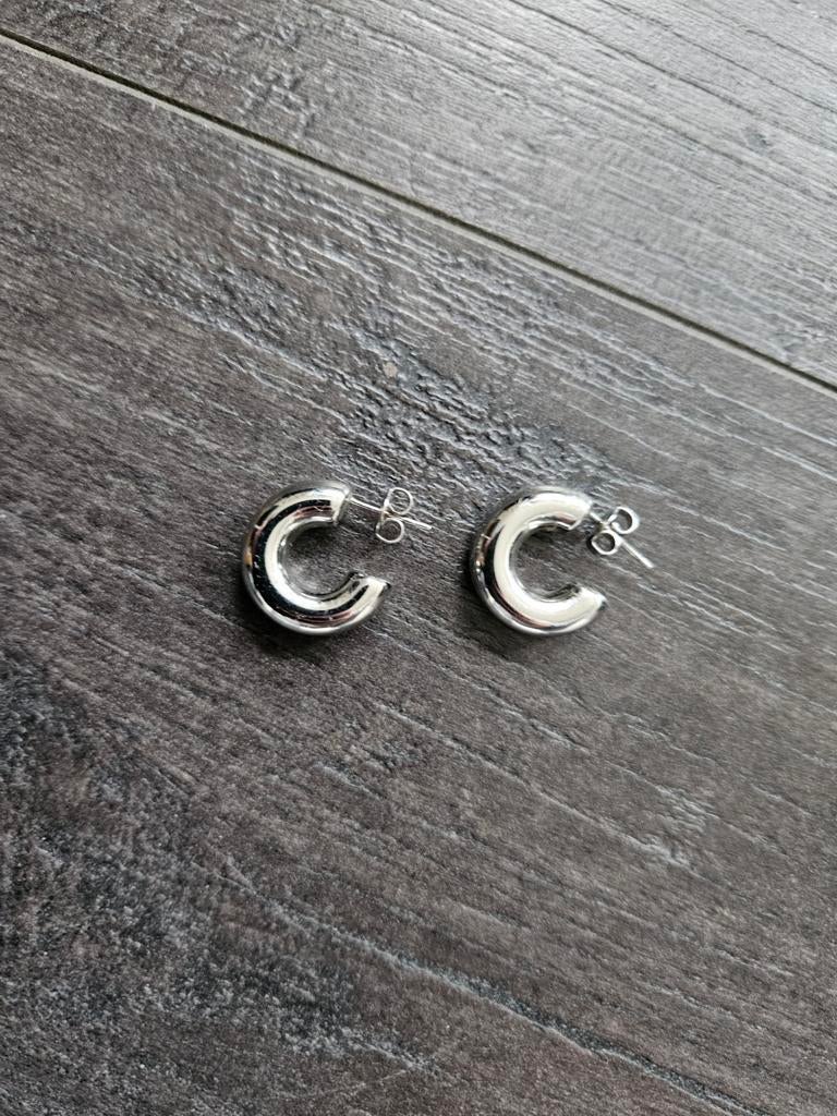 Oorbellen Anna Charmu - nieuw zonder prijskaartje, Ophalen of Verzenden, Nieuw