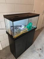 Aquarium compleet met onderkast aqualantis, Ophalen, Leeg aquarium