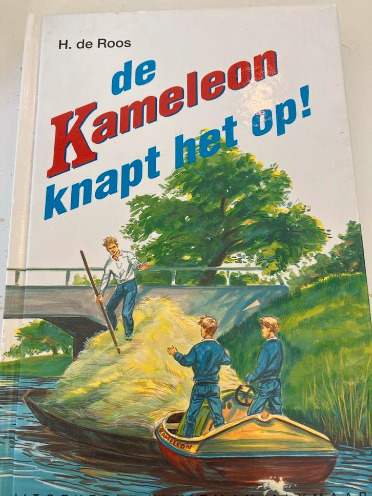 De Kameleon knapt het op! - H. de Roos, Boeken, Kinderboeken | Jeugd | onder 10 jaar, Gelezen, Fictie algemeen, Ophalen of Verzenden