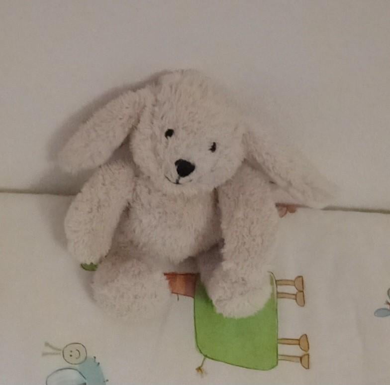 Baby konijntje, Hema, Konijn, Ophalen of Verzenden, Zo goed als nieuw