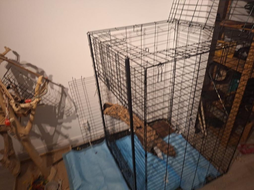 kooi 140-103-95, Dieren en Toebehoren, Knaagdieren en Konijnen | Hokken en Kooien, Ophalen of Verzenden