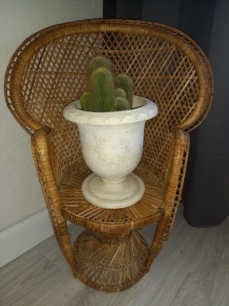 Vintage pauwenstoel/rattan/bohemian/kinderstoel, Antiek en Kunst, Ophalen of Verzenden