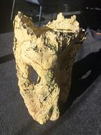 Aquarium decoratie - boomstam groot, Ophalen, Gebruikt, Plant(en), Steen of Hout