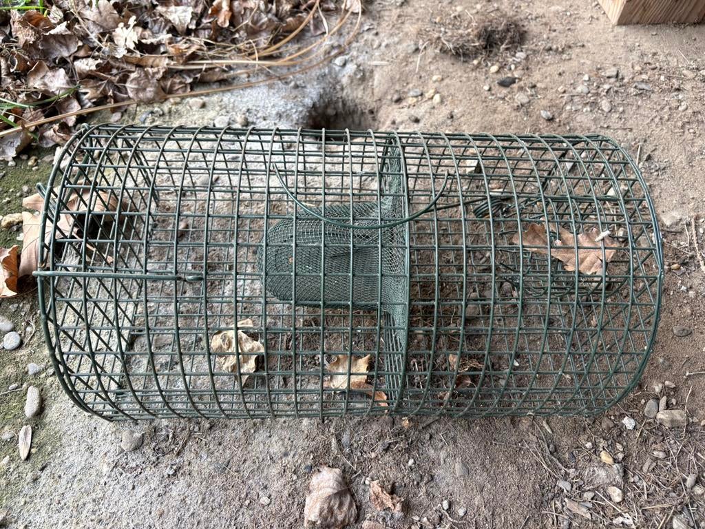 Rattenval / doorloopval (levend vangen), Ophalen, Gebruikt, Ongediertebestrijding