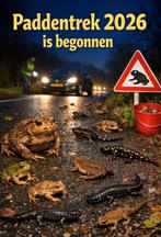 Padden, kikkers 🐸🐸 overzetgroep zoekt vrijwilliger, Dieren en Toebehoren, Maart, Meerdere dieren