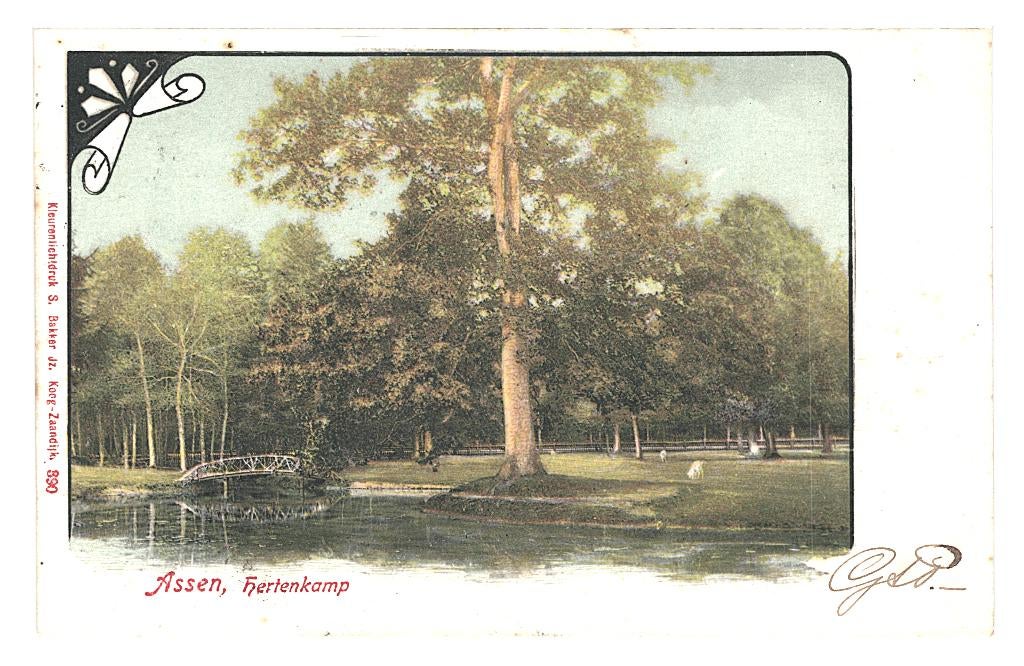 950748 Assen Hertenkamp 1902 Gelopen met postzegel