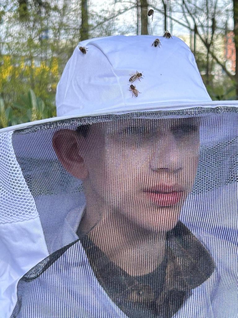 Beginnende imker op zoek naar zwerm, Bijen