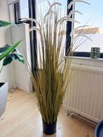 Decoratieve Kunstplant met pluimen, Ophalen, 100 tot 150 cm, Overige soorten, Halfschaduw
