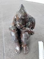 Beeld, Ophalen, Zo goed als nieuw, Mens