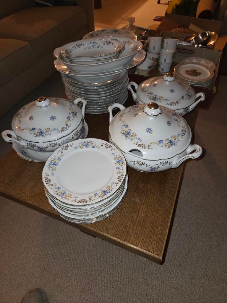 12 delig porselein servies, Ophalen