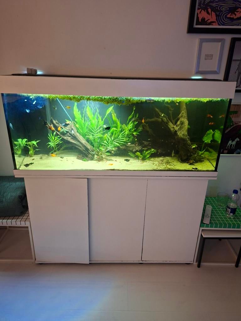 aquirium 240 liter juwel inclusief filter etc., Ophalen, Leeg aquarium