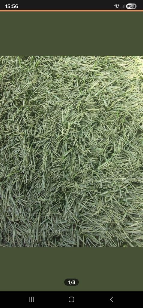 Kunstgras gezocht max 4 x 4 meter omgeving leiden, Ophalen, 20 m² of meer