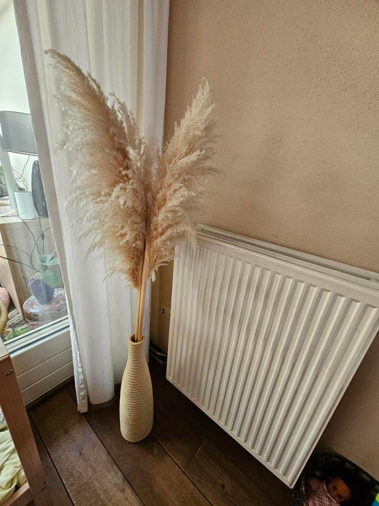 Grote pluimen in vaas - Pampasgras decoratie, Ophalen, Overige materialen, Overige kleuren, Zo goed als nieuw