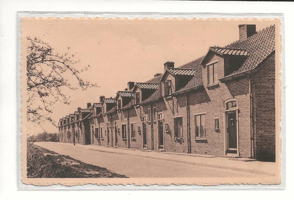 BF381-Rozenburg,Wilhelminastraat, Verzamelen, Verzenden, 1960 tot 1980, Ongelopen, Zuid-Holland