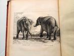 [Olifanten] Houel 1803 Histoire naturelle des deux Éléphants, Ophalen of Verzenden