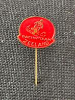 Racing Team Zeeland speldje - motorracen, Ophalen of Verzenden, Gebruikt, Stad of Land, Speldje of Pin