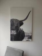 Canvas, schotse hooglander, 115 x 75, Ophalen, Gebruikt, Foto of Poster, 75 cm of meer